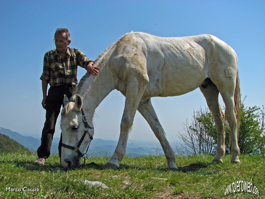 13_Piero è in confidenza con il cavallo.JPG